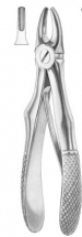  KLEIN (Fig. 217) upper incisors 